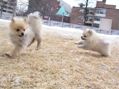 Mar11a_05_009.JPG