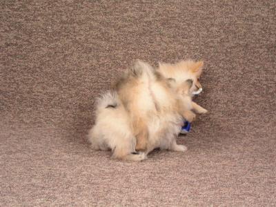 Mar11b_05_002.JPG