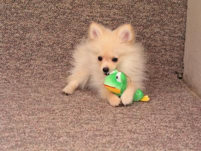 Mar11b_05_019.JPG