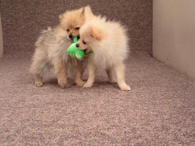 Mar11b_05_034.JPG
