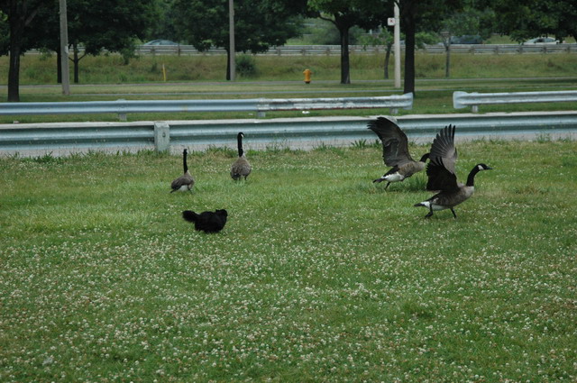 July19c_04_034.JPG
