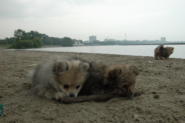 July19c_04_348.JPG