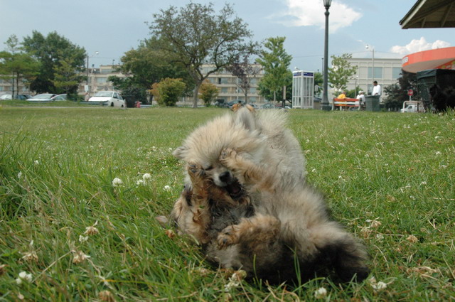 July19d_04_116.JPG