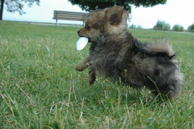 July19f_04_136.JPG