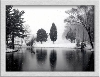 wWinter Scene2_hnf copy.jpg