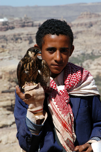 Boy with a small falcon, Yemen