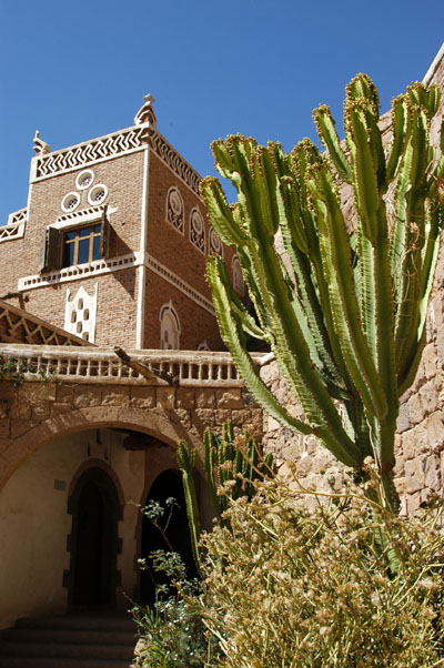 Cactus at Dar al-Hajar