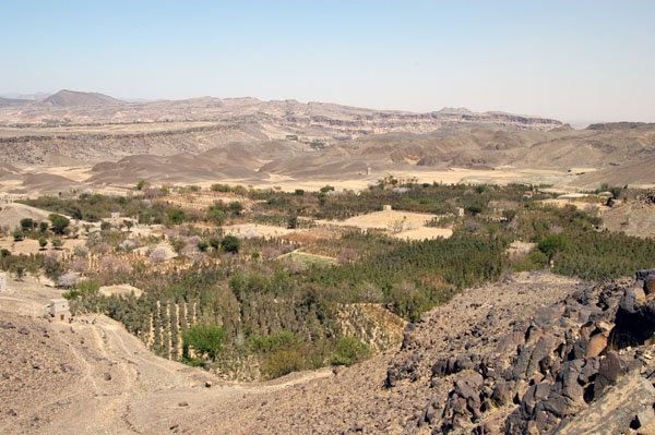 Qat plantations enroute to Shibam-Kawkaban