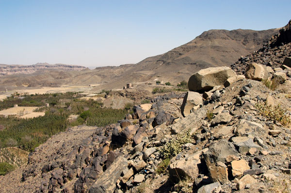 Most of the greenery around Sana'a is Qat