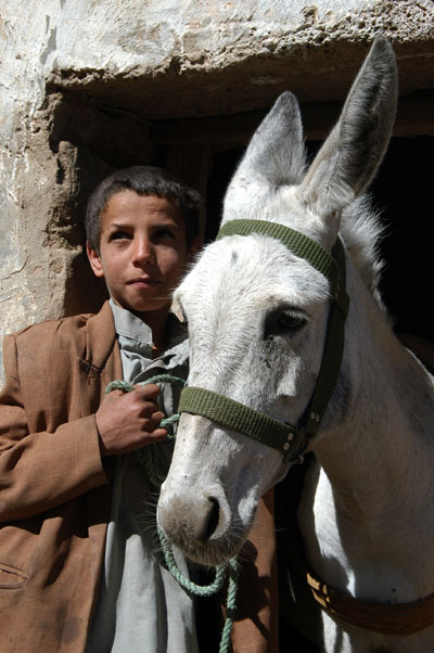 Boy and donkey in Shibam