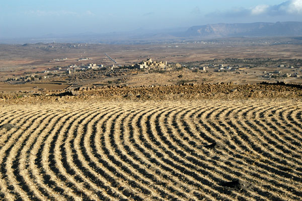 Prepared field between Thilla and Hababa