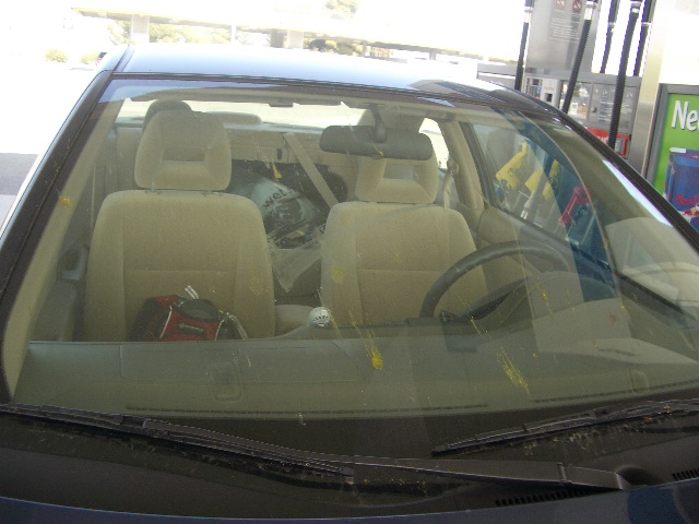 IMGP0976.JPG