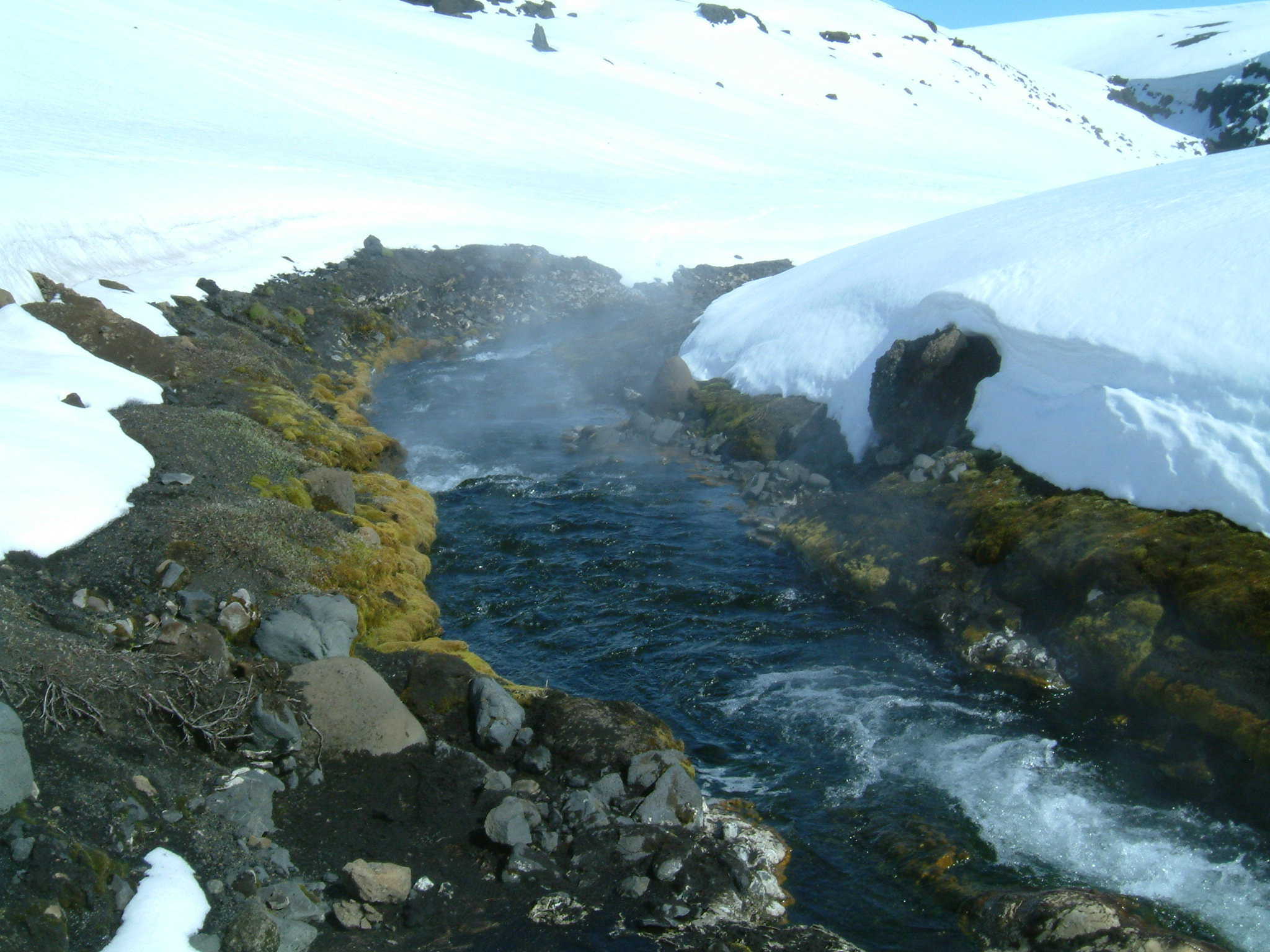Funheitur lkur (40-42C)