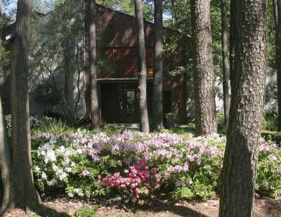 Home of the Azaleas