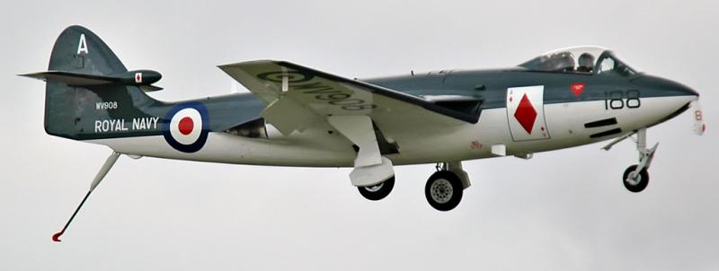 DSC_6294.jpg