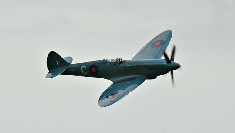 DSC_6373.jpg