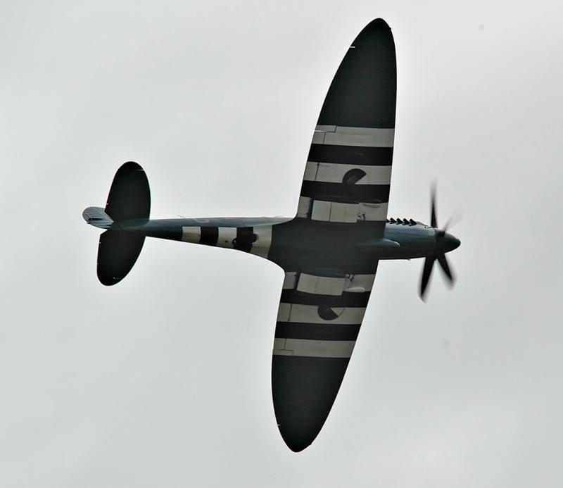 DSC_6381.jpg