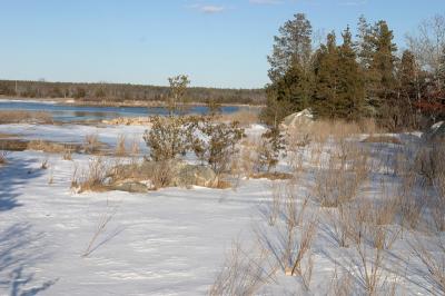 slt_moore-tabor_179.jpg