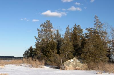 slt_moore-tabor_186.jpg