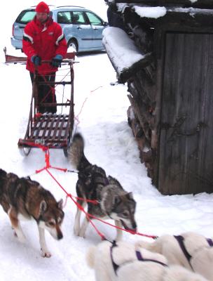 u25/cfrederick/medium/40746259.Musher2.jpg