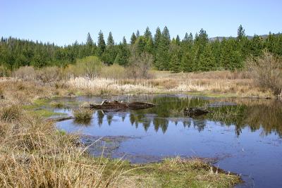 Mill Site - March 13, 2005