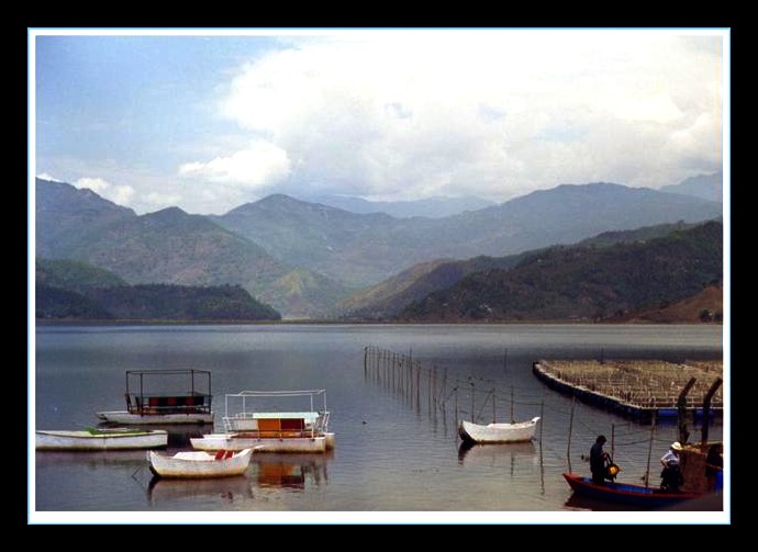 Fewa lake Nepal