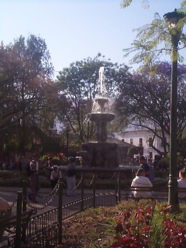 DCP00834.JPG