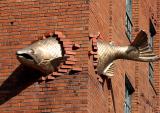 Flying fish?