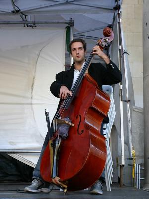 Double Bassist