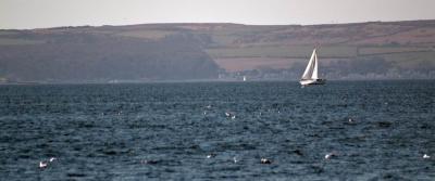 firth_clyde_3.jpg
