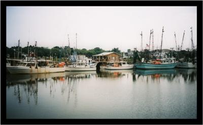 Shem Creek
