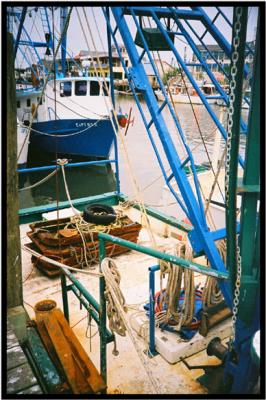 Rig2-web.jpg