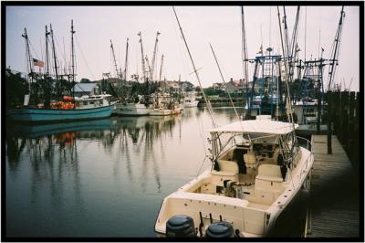 Shem Creek