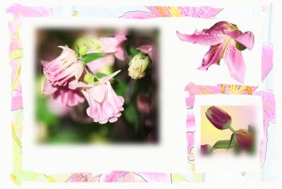 Playing w/ PhotoShop produces some...