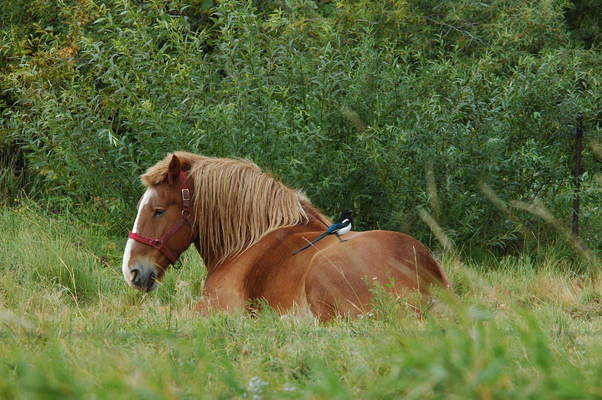 DSC_2676.jpg