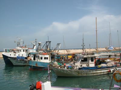 Fishing Boats in Jaffa Port