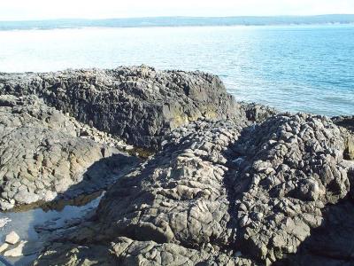 Pillow Basalt at Scot's Bay near Cape Split