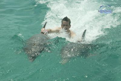 Dolphin Swim in Curacao - Lee - 001