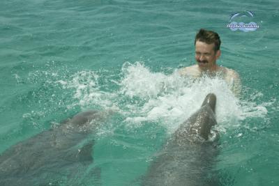 Dolphin Swim in Curacao - Lee - 003