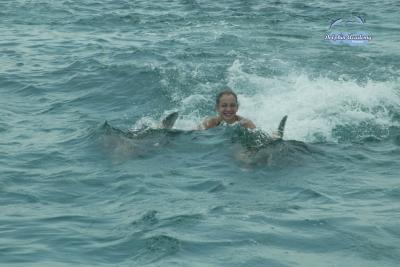 Dolphin Swim in Curacao - Samantha - 001
