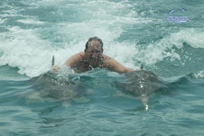 Dolphin Swim in Curacao - Earl - 001