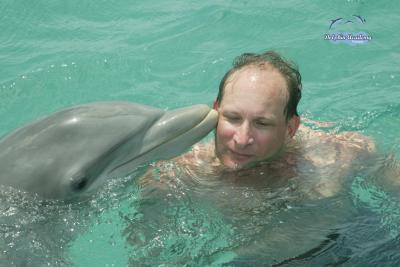 Dolphin Swim in Curacao - Earl - 002