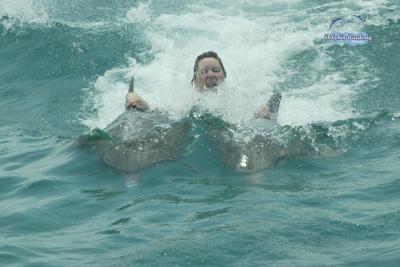 Dolphin Swim in Curacao - Terri - 001