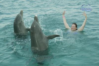 Dolphin Swim in Curacao - Terri - 003