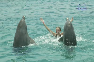 Dolphin Swim in Curacao - Samantha - 003