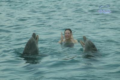 Dolphin Swim in Curacao - Terri - 004