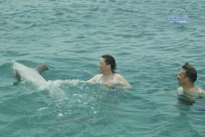 Dolphin Swim in Curacao - Lee and Terri