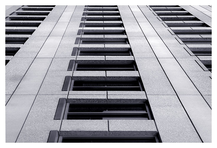 Corporate Ladder *
