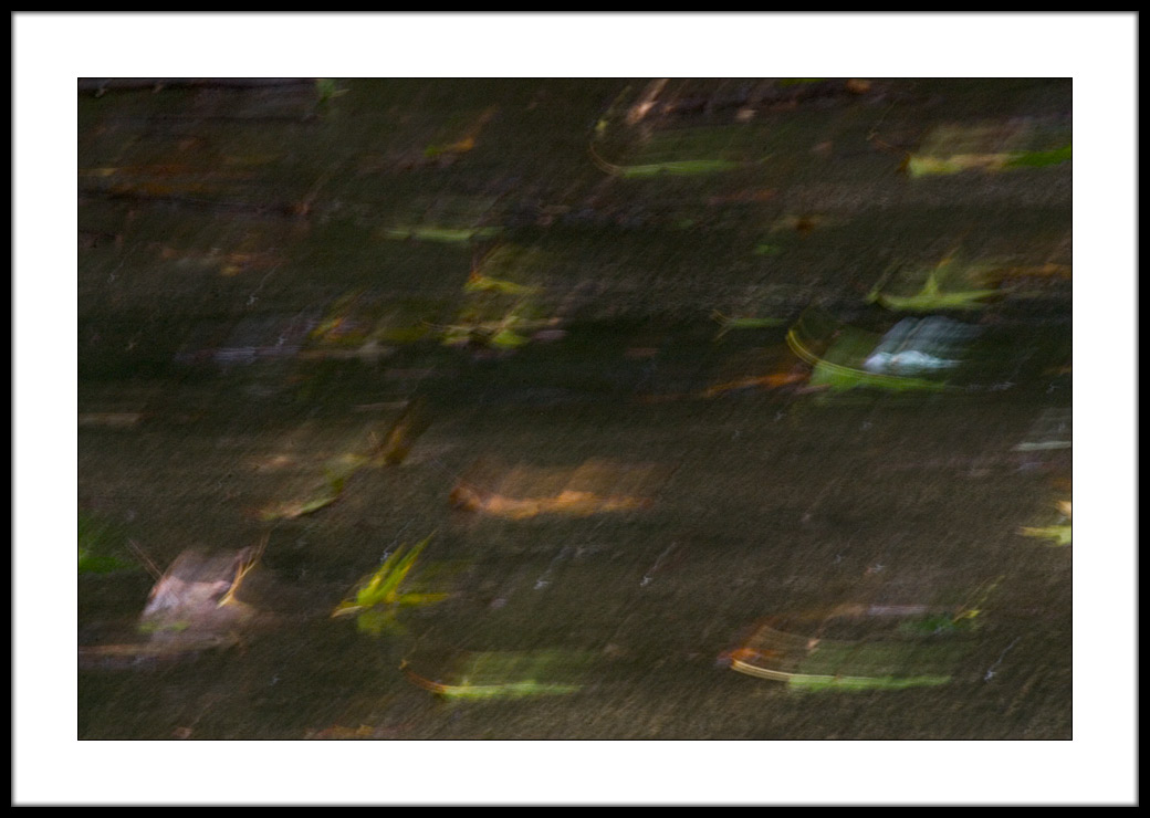 Autumn Rain