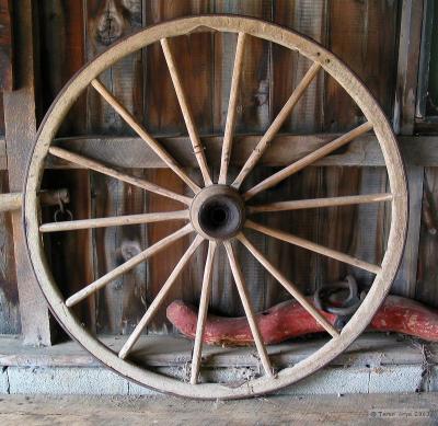 Amish Wheel of Life